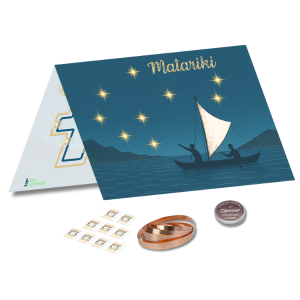 Matariki LED Constellation