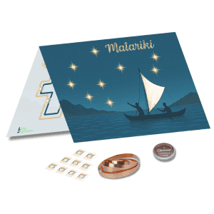 Matariki LED Constellation